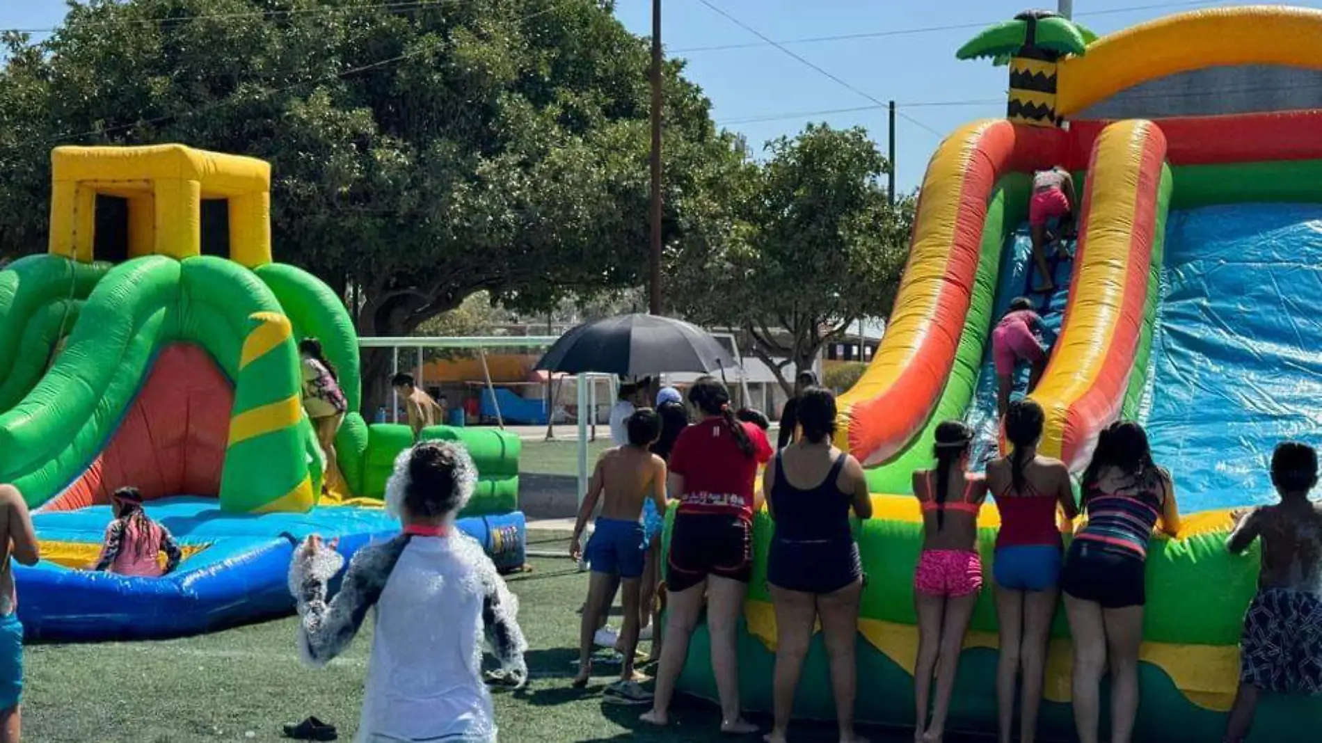 Curso de verano